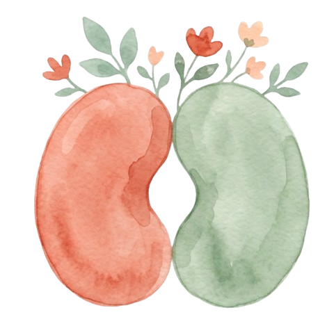 Logo Trasplantemente — dos riñones con flores